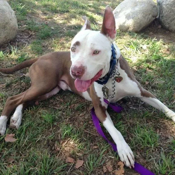 Never Selling! Who Saved Whom?! - Picture 1 of 10